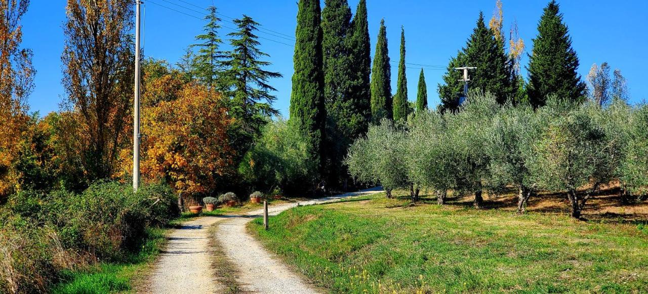 La Volpaia 1521 Villa Barberino Val d'Elsa Bagian luar foto